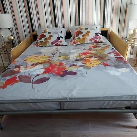 Apartment Rez-de-chaussee Privatif Spacieux 3* D'une Centre