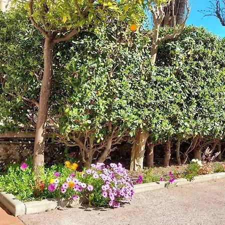 Appartement Rez-de-chaussée Privatif Spacieux 3* D'une Centre