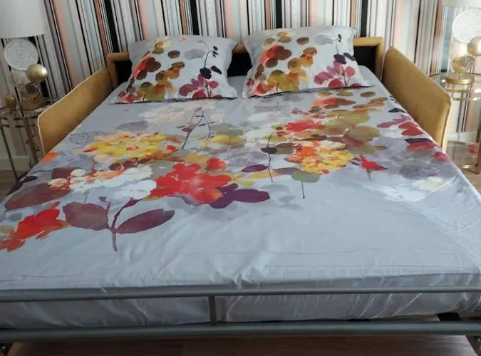 Appartement Rez-de-chaussée Privatif Spacieux 3* D'une Centre