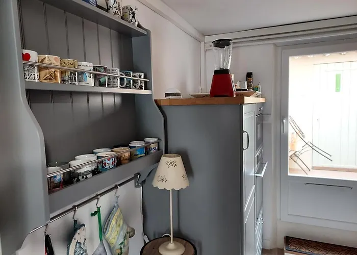 Rez-de-chaussee Privatif Spacieux 3* D'une Centre Apartment