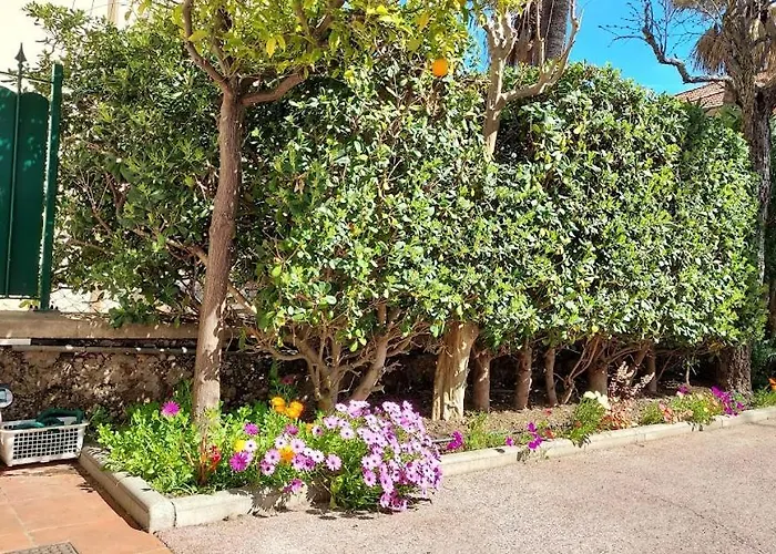 Apartment Rez-de-chaussee Privatif Spacieux 3* D'une Centre