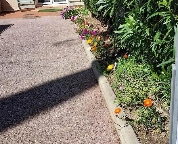 Rez-de-chaussee Privatif Spacieux 3* D'une Centre Apartment *